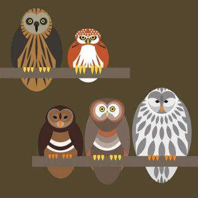 Owl Quintet Greeting Card