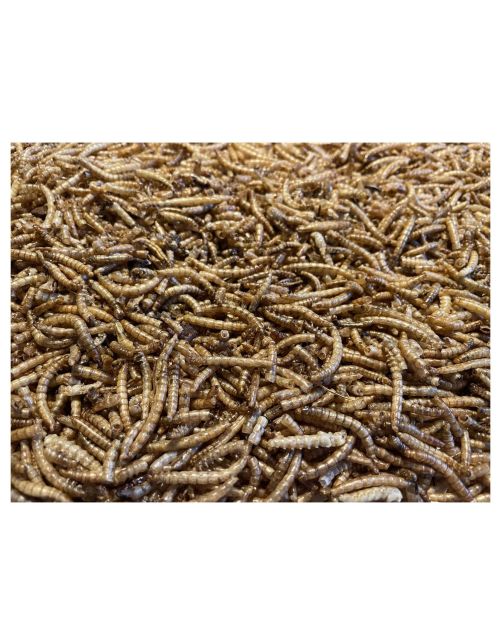 Allbirds&Co Gedroogde Meelwormen In Emmer - Tuinvogelvoer - 850 g