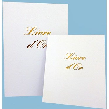 Livre d or elve 21 x 29 7 cm blanc 148 pages couverture aspect cuir