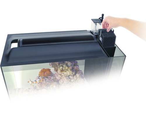 Aquarium Fluval Spec XV 60L met LED-verlichting en filtersysteem, zwart