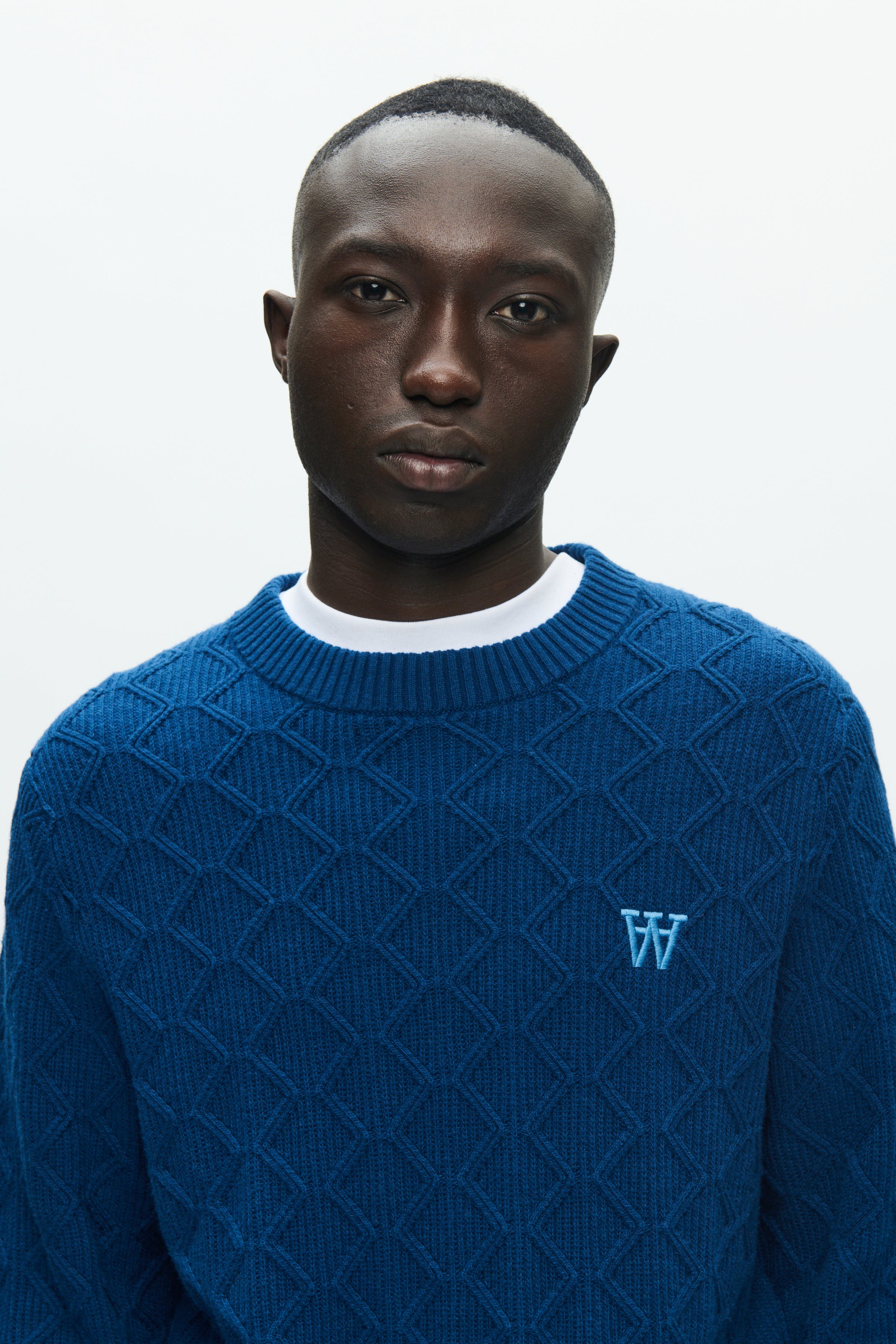 DOUBLE A BY W.W. MEN WWLamin Pullover