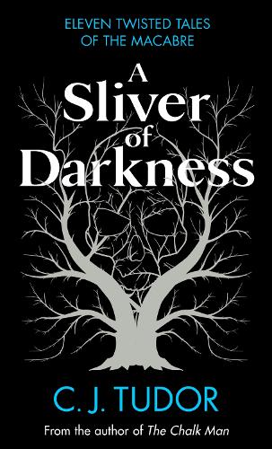 A Sliver of Darkness (Hardback)