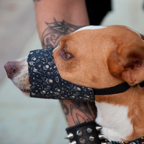 Focinheira para cães Pamppy Evan, preta