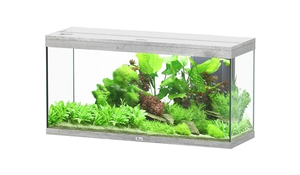 Aquatlantis Splendid 120x40 aquarium | Inclusief LED en filter