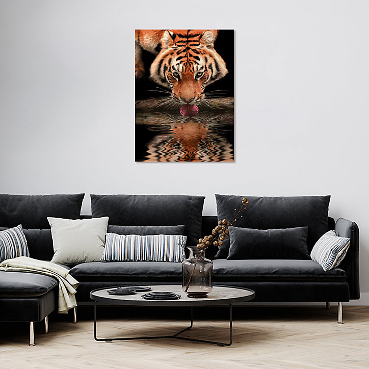 Affiche tigre Dada Art l.60 x H.80 cm