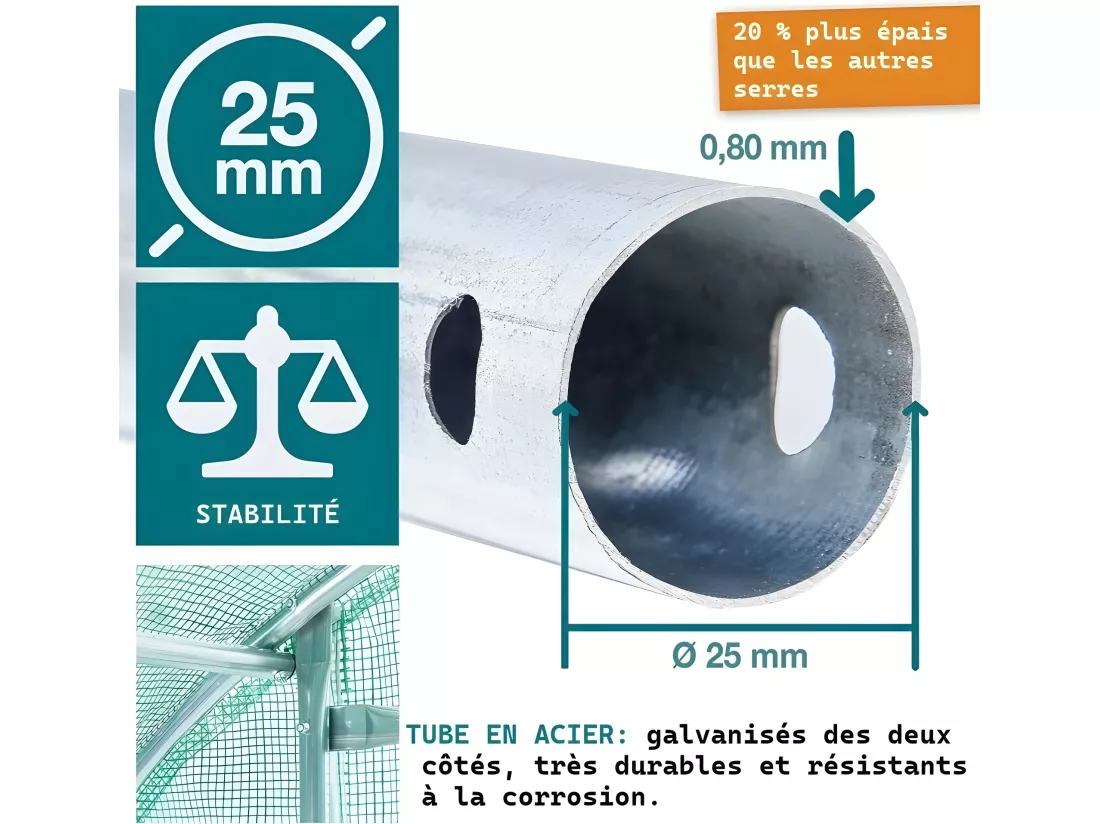Serre tunnel de jardin 3x6m en aluminium stable Serre avec ancrage au sol Porte et fenêtres enroulables pour jardin