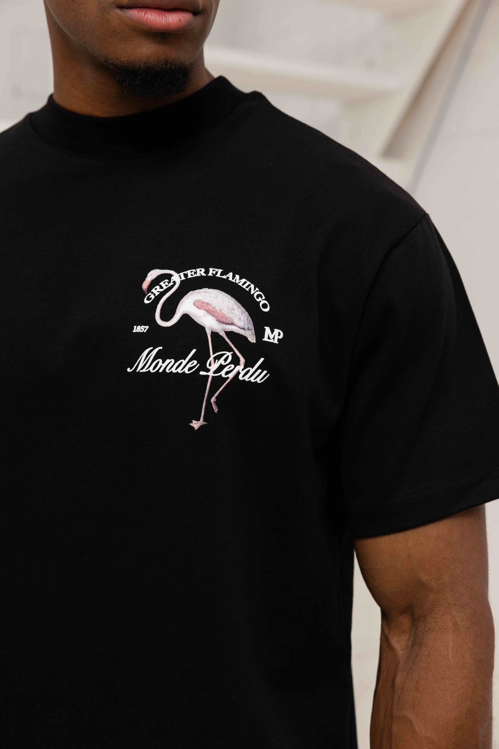 Le Monde Perdu The Greater Flamingo T-Shirt Heren Zwart