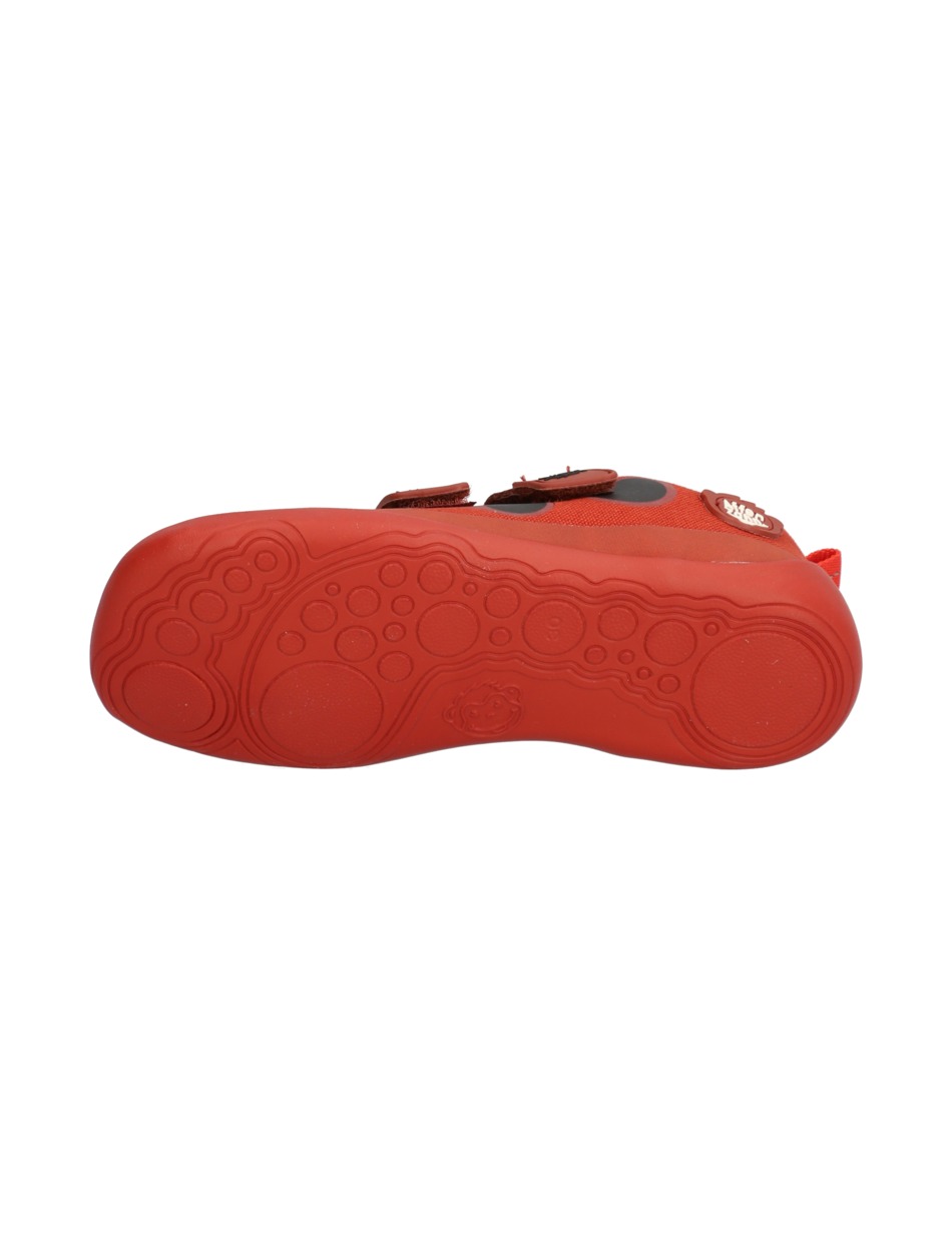 Baumwolle Lucky Ladybug