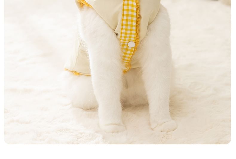 Cissilli - Bear Chenille Pet Top