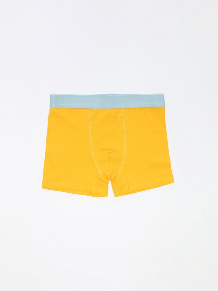 Pacote com 7 cuecas boxer estampadas - Cores Variadas