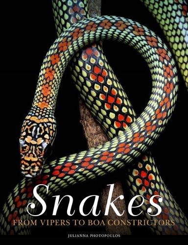 Snakes: From Vipers to Boa Constrictors - Animals (Hardback)