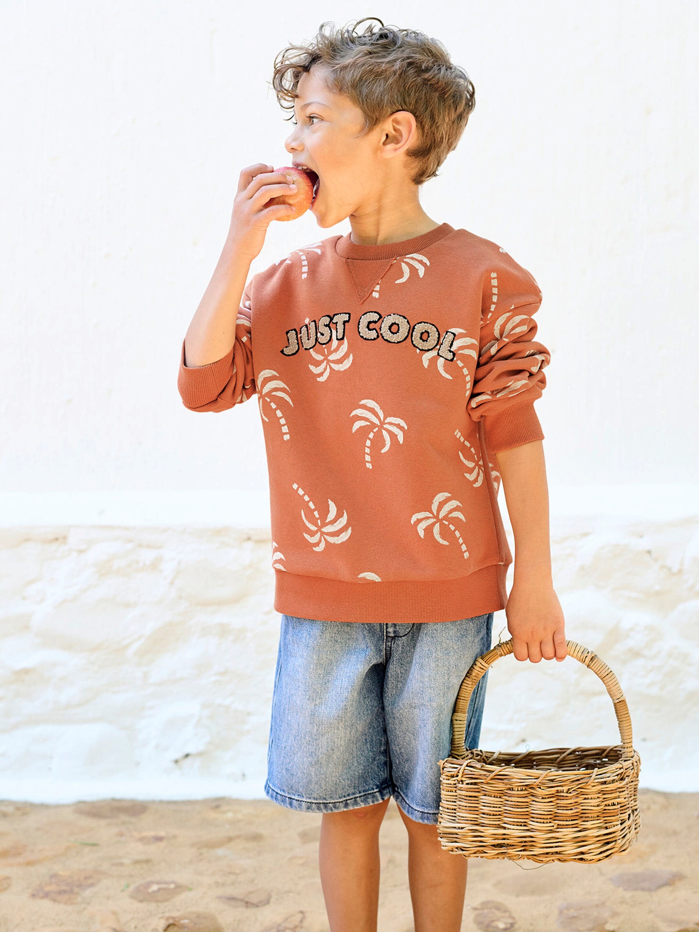 Vertbaudet Jungen Sweatshirt mit Frottee-Motiv und Recycling-Polyester terrakotta farbe