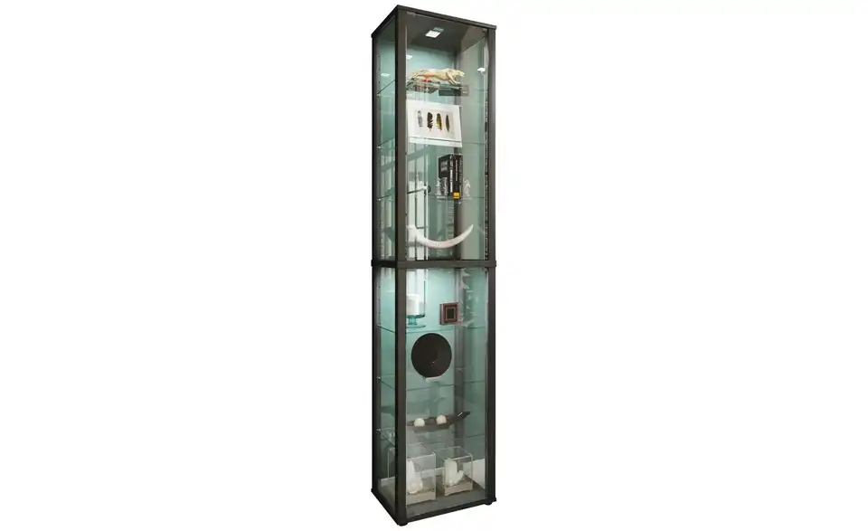 Vitrine