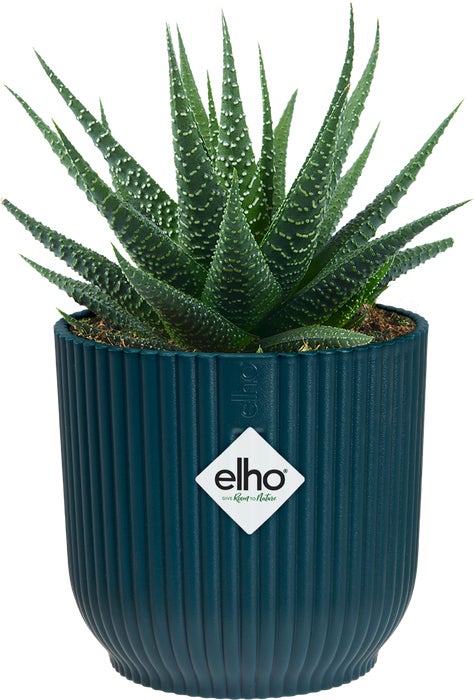 Elho bloempot Vibes blauw D 7 H 6,5 cm