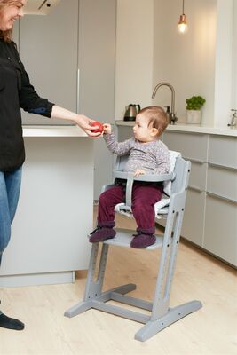 BabyDan Danstolen Matstol inkl Bøyle & Rem, Grå