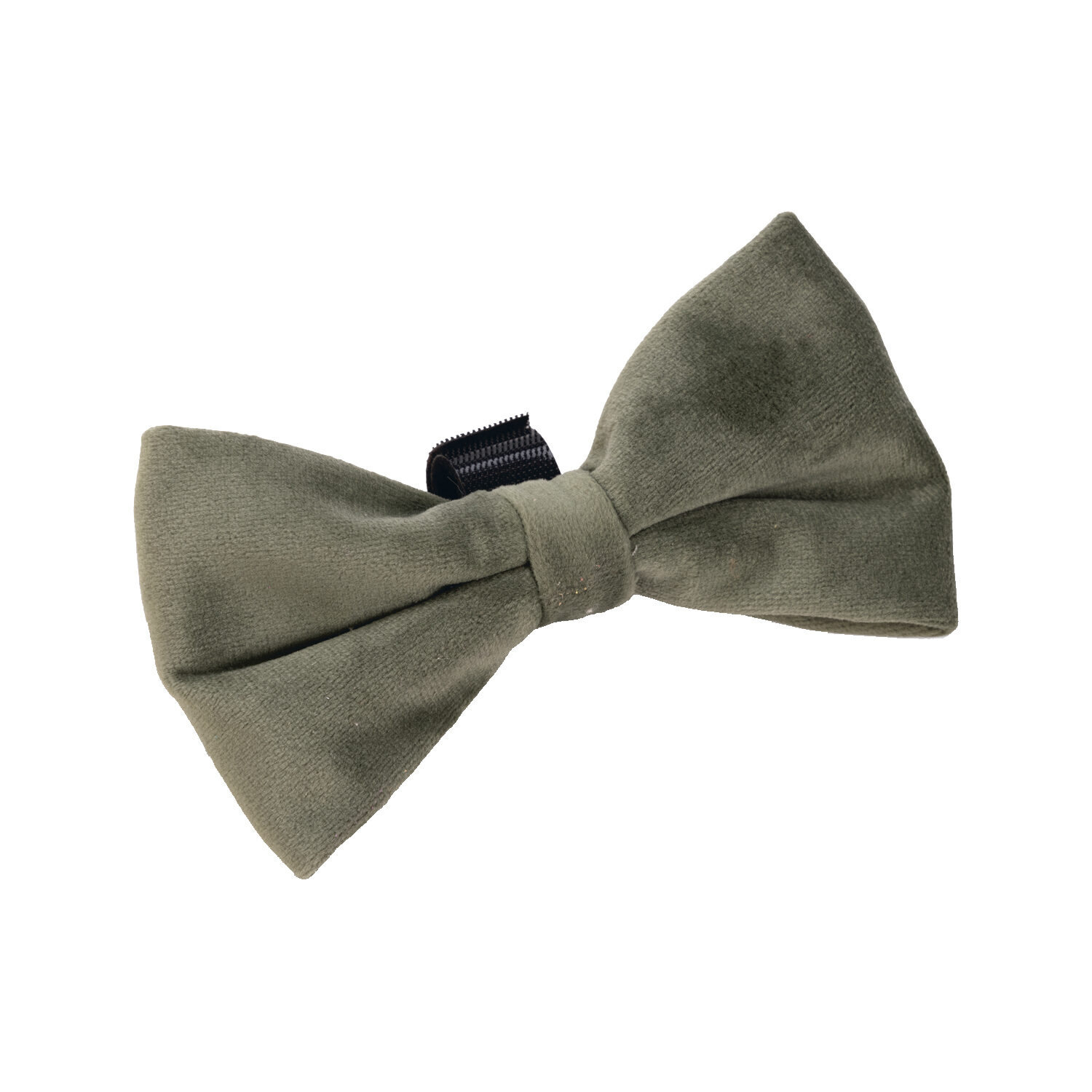 Designed by Lotte Strik Zaza - Velvet