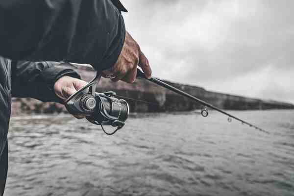Canne à Bar Savage Gear Defiance SG8 Inshore