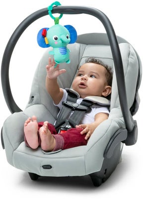 Bright Starts Wild Wiggles Babygym