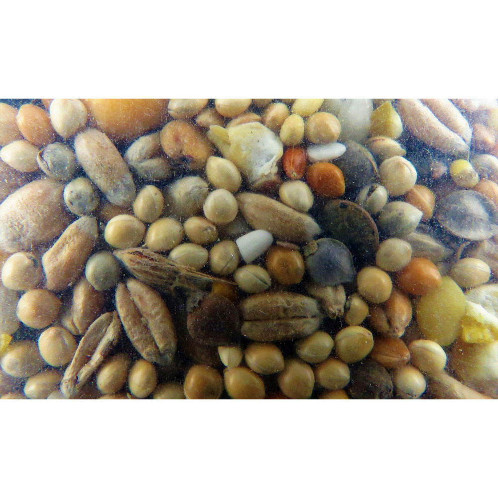 Graines tourterelle nutrimeal - 12kg