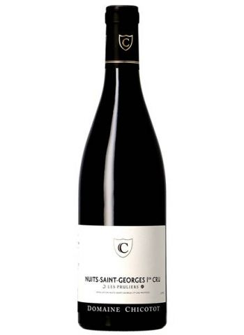 Nuits Saint Georges 1er Cru Les Pruliers - Chicotot