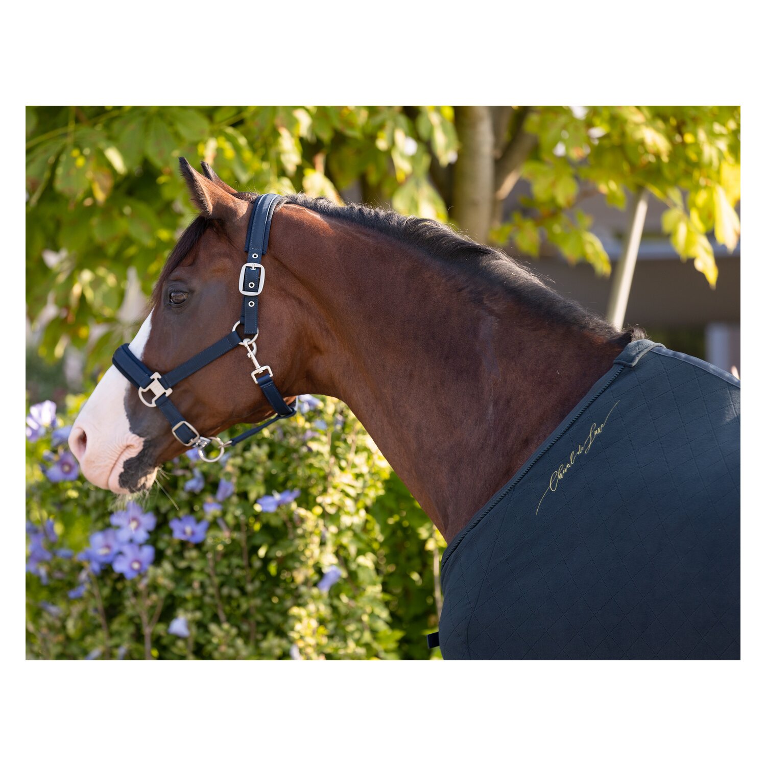 Cheval de Luxe Abschwitzdecke Charleroi  - navy
