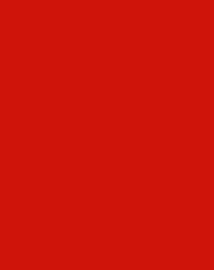 Kissen Infanskids eckig (Farbe: rot)