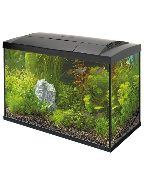 Superfish Aquarium Start 70 Tropical Kit Retro Led 73 l - Aquaria