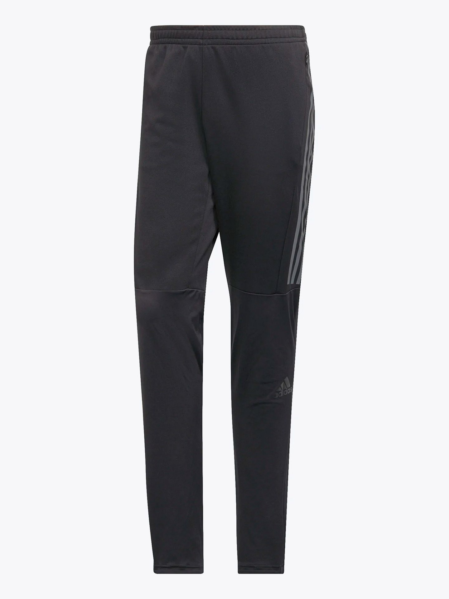 Run Icon Pant