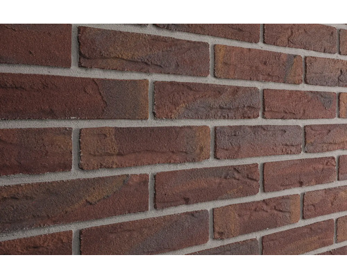 Elabrick gevelsteen Kiel 21 x 5 cm Buiten