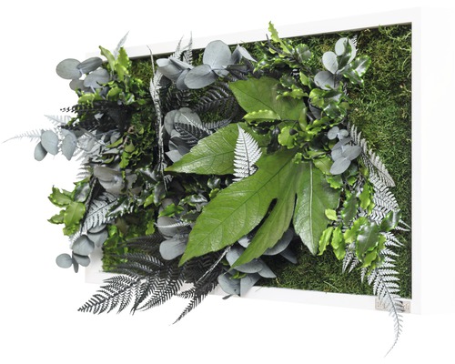 Plantenfoto jungle design lijst wit 57x27 cm