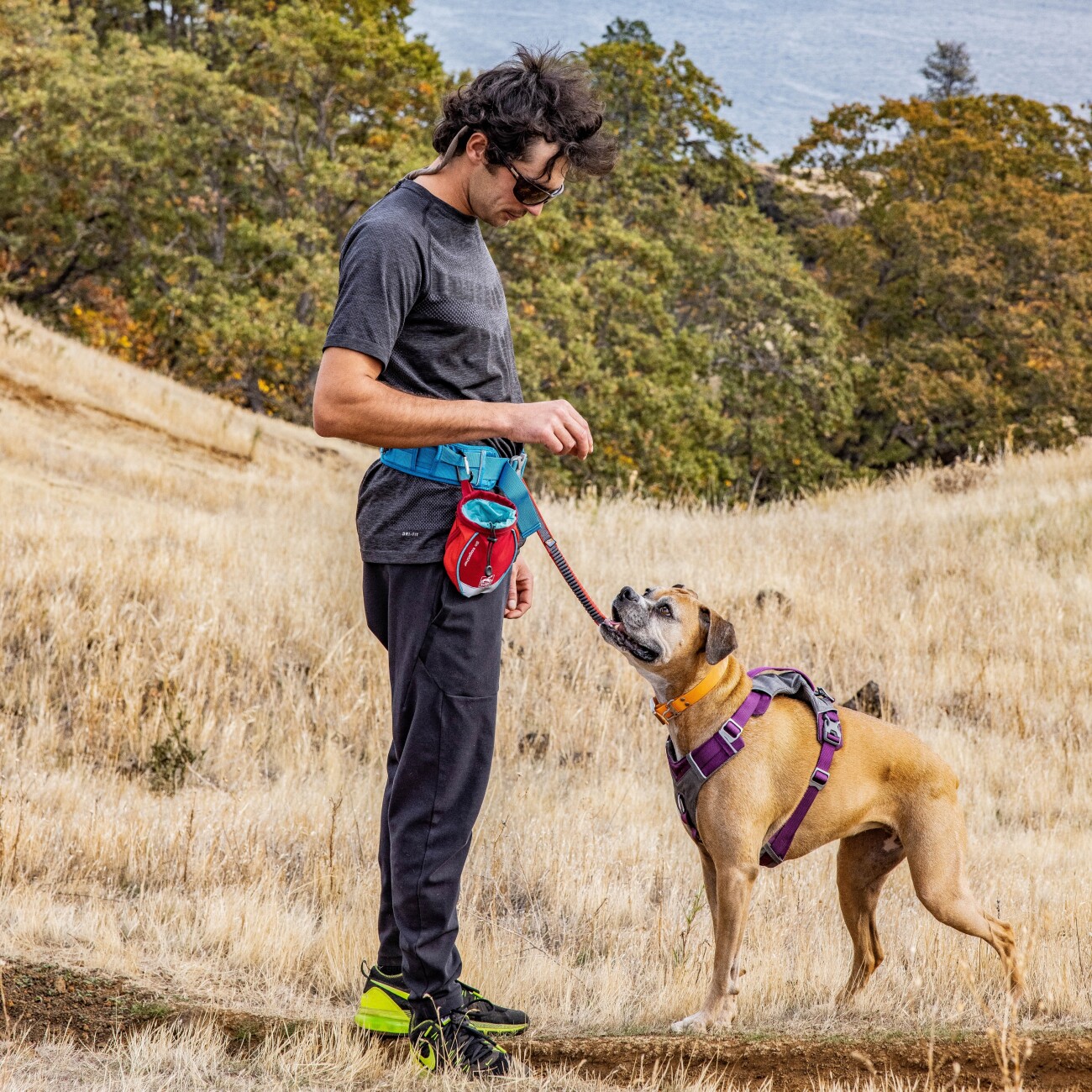 Kurgo Go Stuff It Leckerlibeutel für Hunde navy