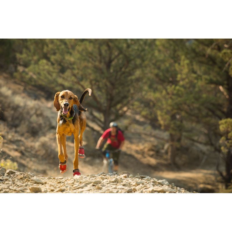 Grip Trex - Chaussures pour chien