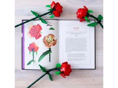 LEGO Botanical Almanac (5008877)