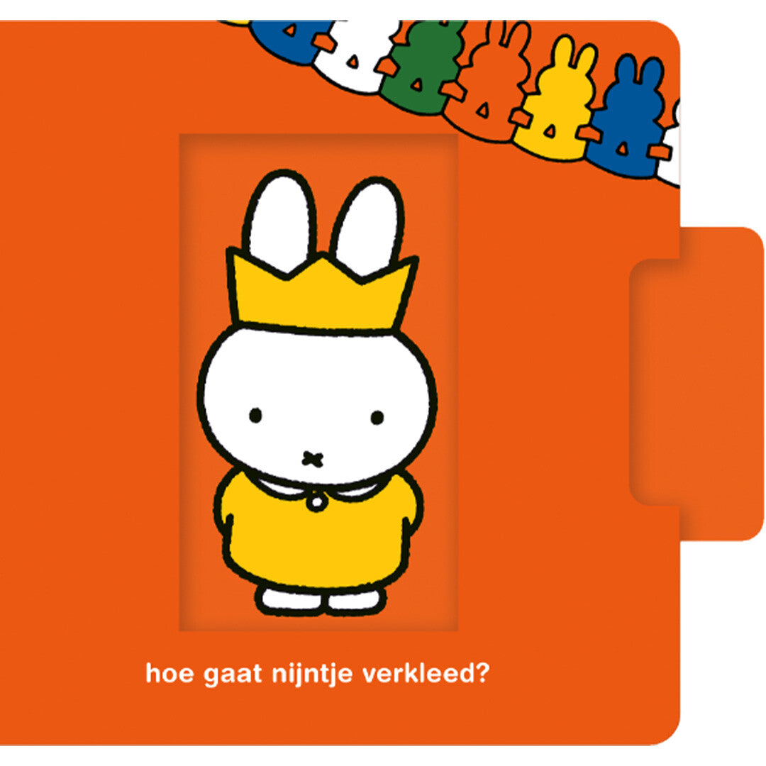 Nijntje schuifboek nijntjes verkleedfeest