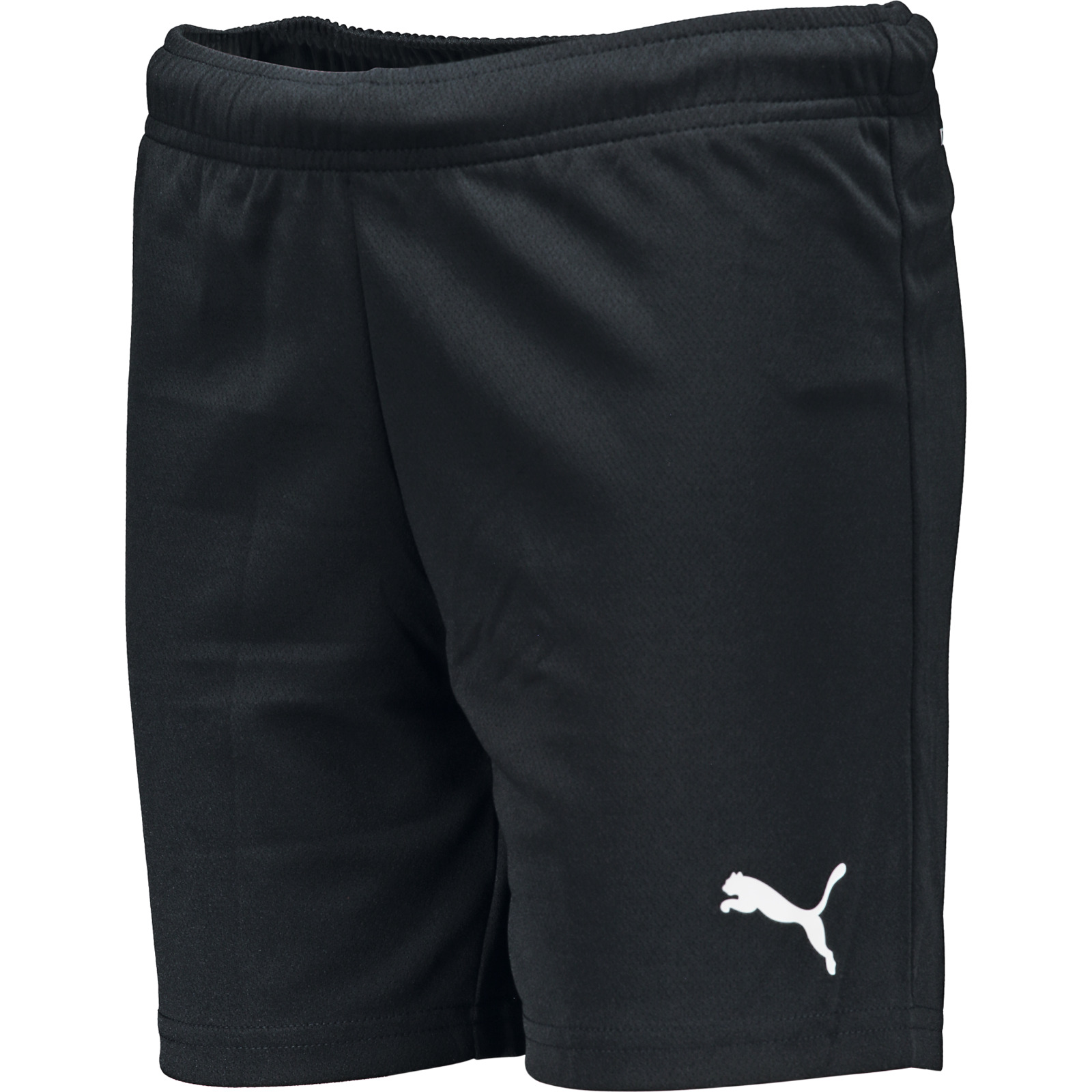 Puma Kinder-Shorts Team Rise schwarz