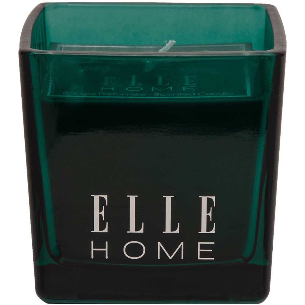 Bougie parfumée - Sapin - Hespéridé boisé - 215 g