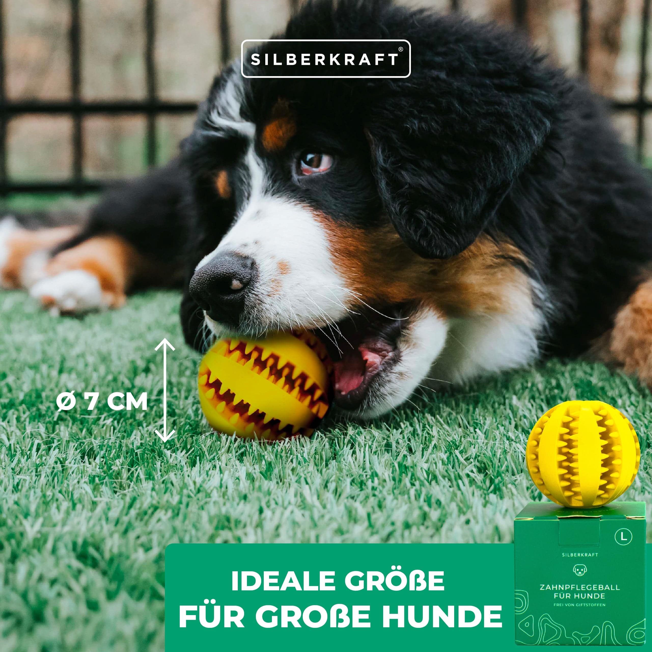 SILBERKRAFT Zahnpflegeball für Hunde - Groß