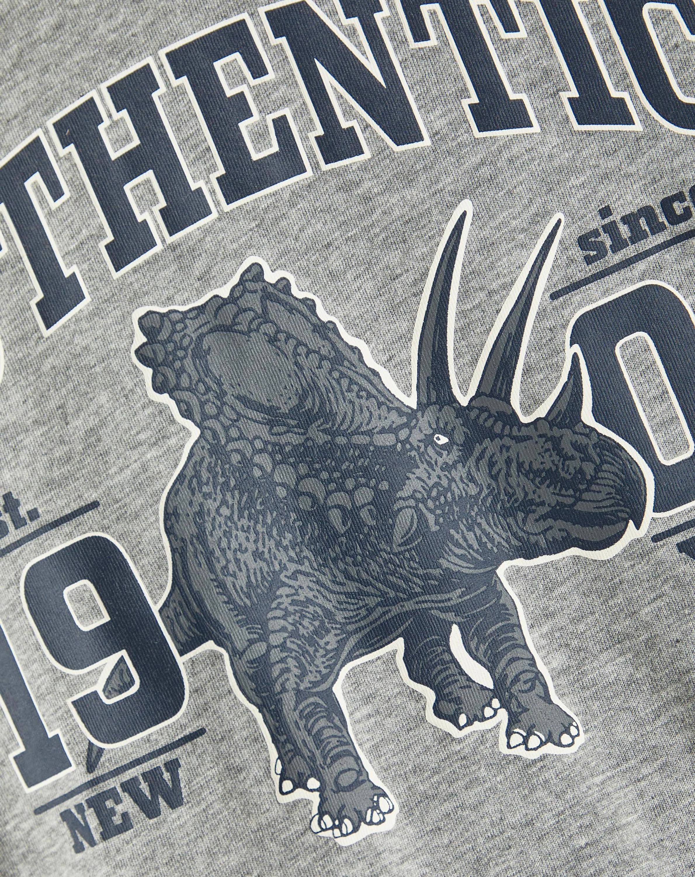 Jersey-Langarmshirt NKMRARO DINO in grey melange
