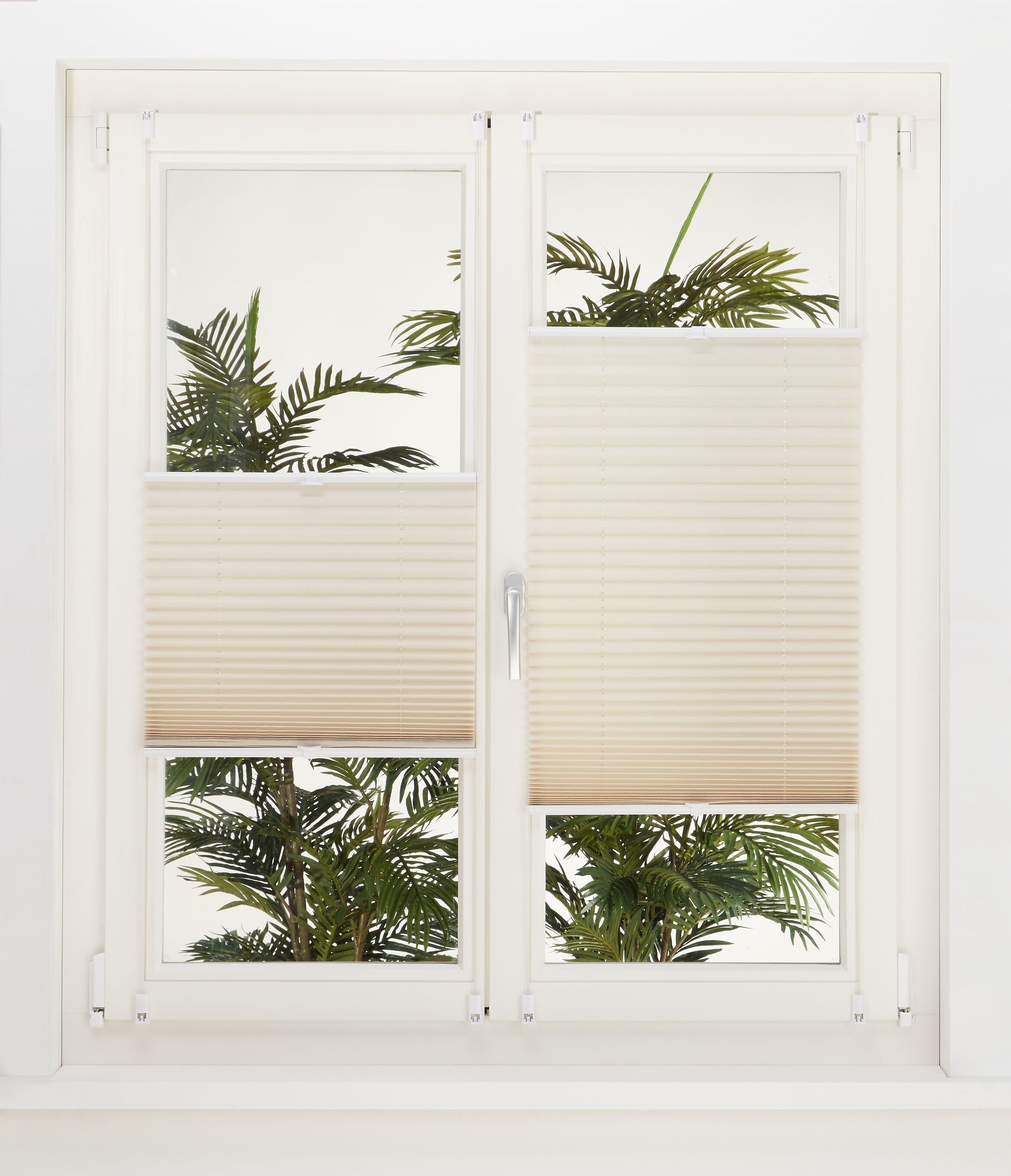 BASIC CRUSH Plissee - Beige / B: 80.0 cm x H: 160.0 cm