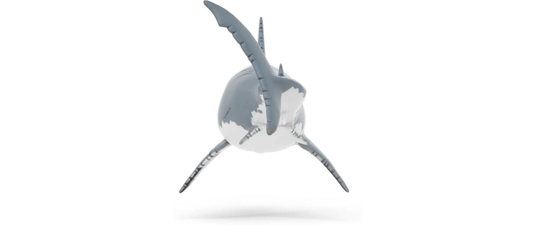 MegalodonDinosaurus