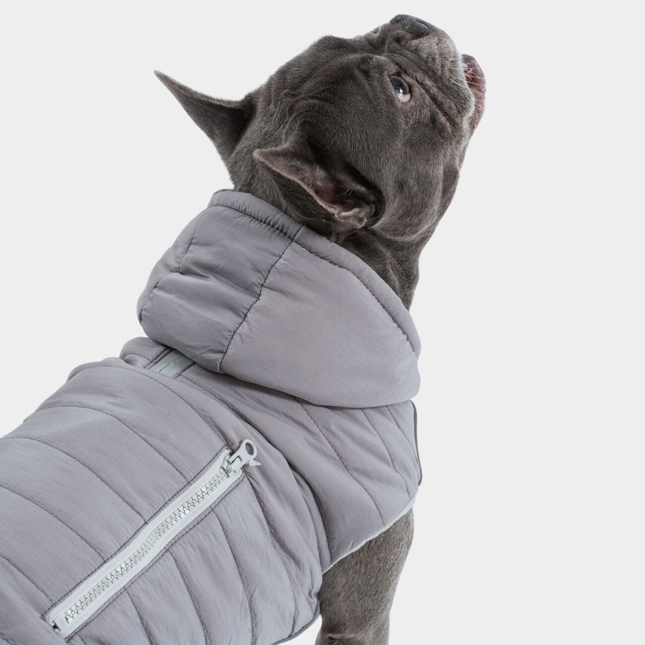 PAW WOW Hundejacke IMMI Grau S