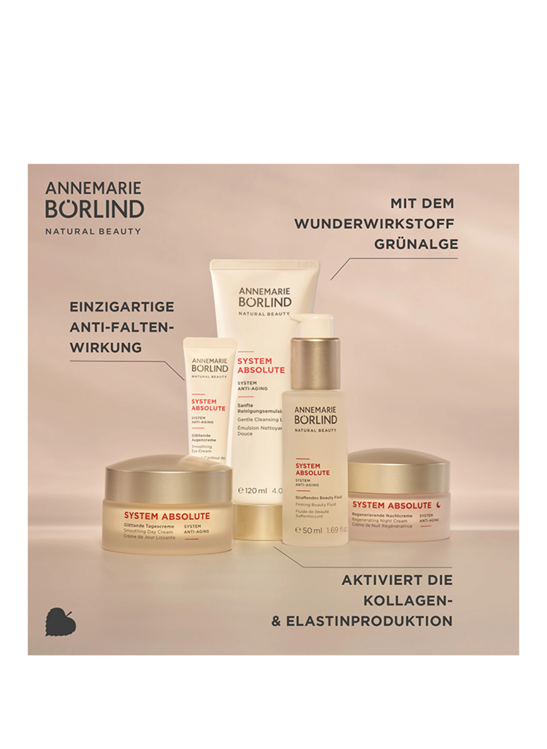 ANNEMARIE BÖRLIND SYSTEM ABSOLUTE