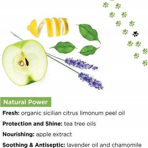 Desodorante natural PETUCHI com aroma de limão para cães.