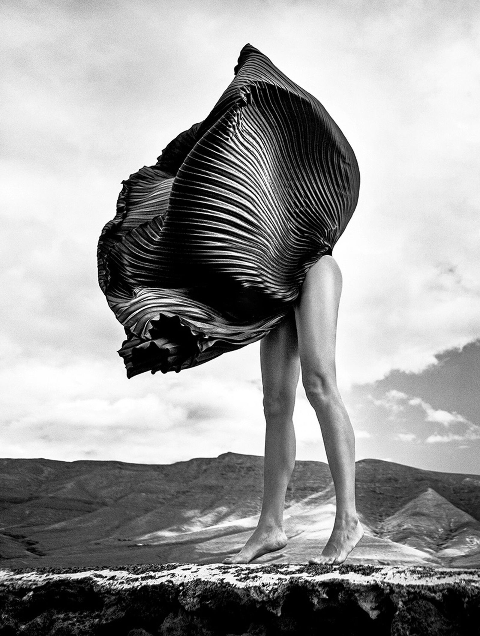 Flower by Szymon Brodziak - Darlings - Small Limited Edition. 30x40.