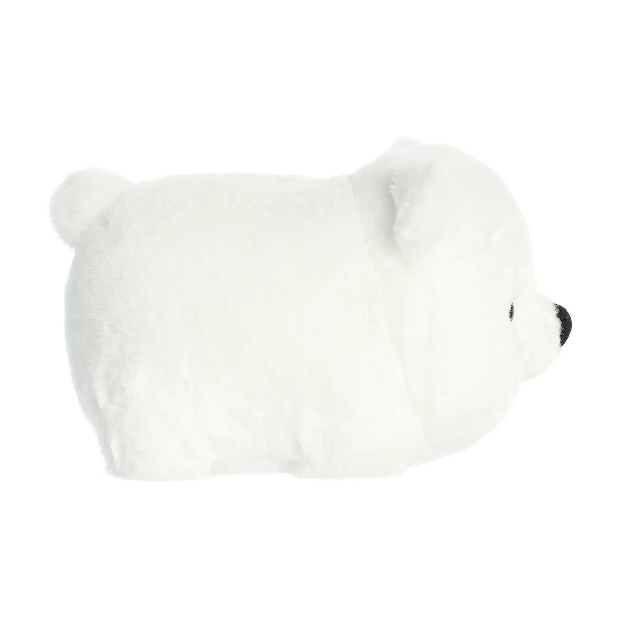 Aurora Ours Polaire Penni 11''
