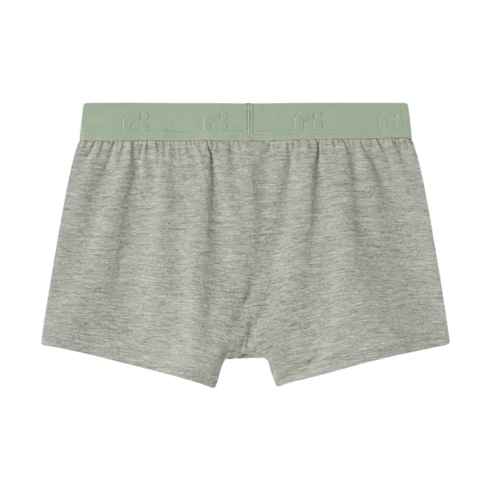 Name It Aquamarine Boxershorts Junior (5-pack)