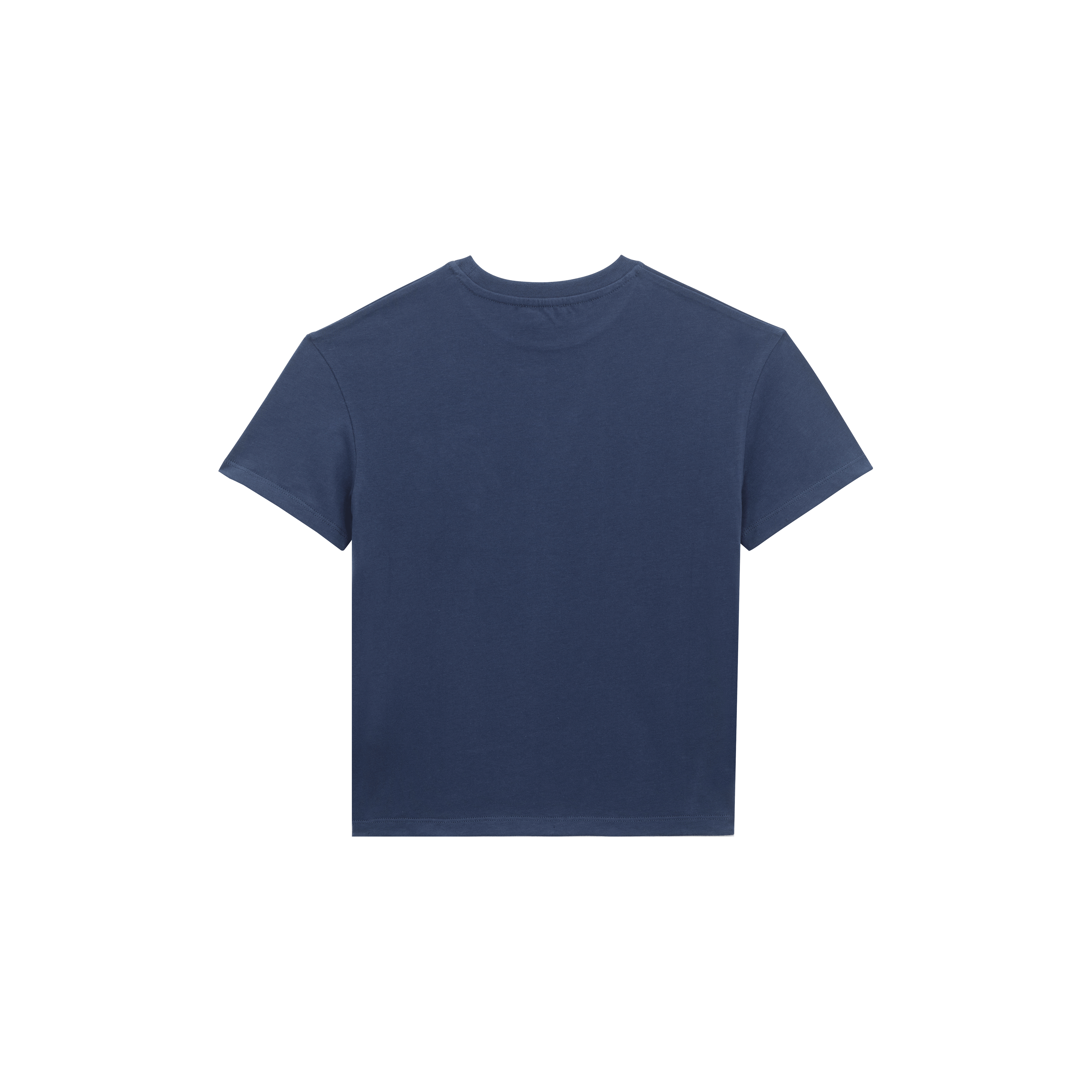 T-shirt en coton organique garçon Tortue brodée