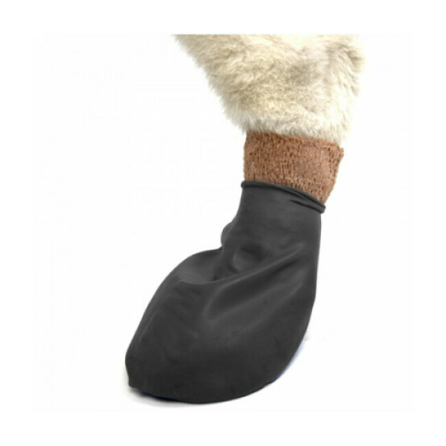 Chaussettes de protection Pawz pour chien