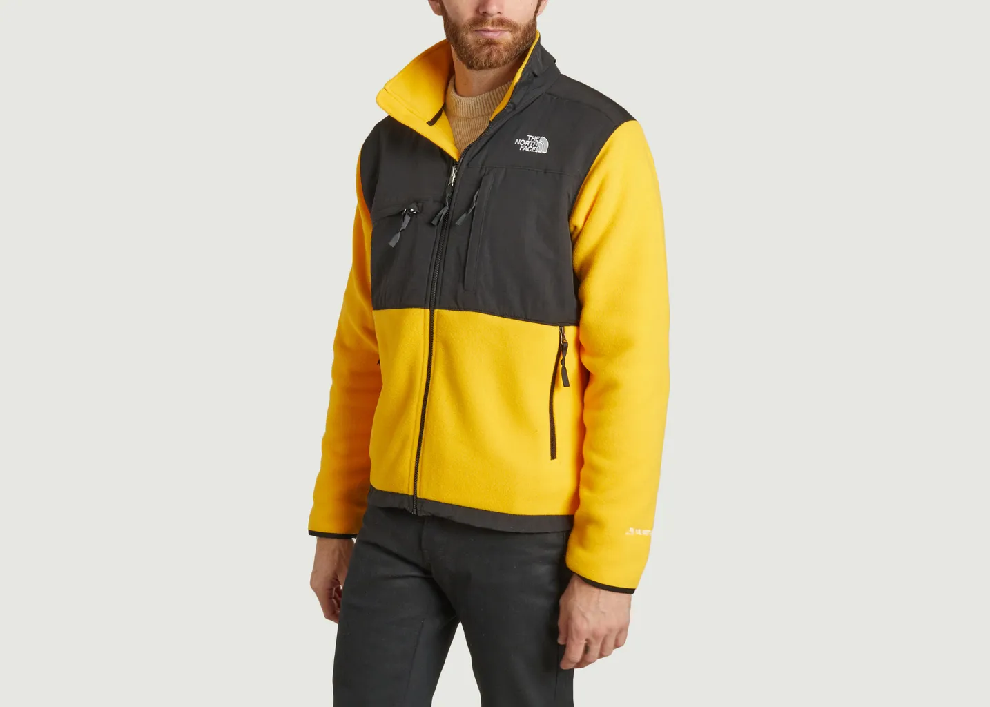 Polaire Denali Polartec The North Face
