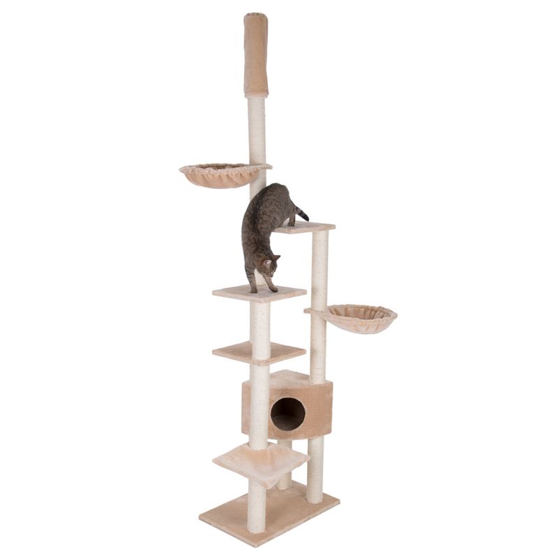 Arbre à chat Atlas